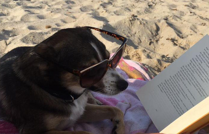 Wir machen Urlaub.